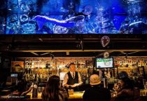 die außergewöhnlichste Bar mit Aquarium und Meerjungfrau