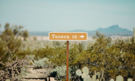 Unsere Lieblings-Festivals in Tucson, Arizona