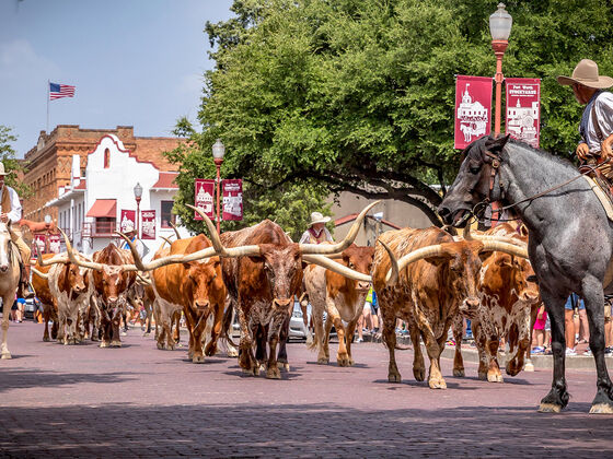 Fort Worth Stockyards