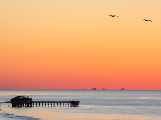 Galveston