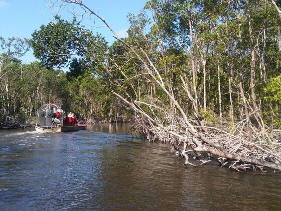 B - Airboat Tour Everglades City_1