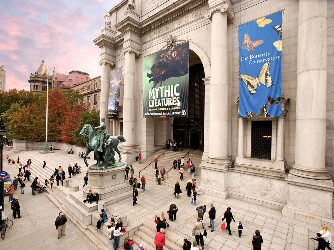 AMNH-American-Museum-of-Natural-History