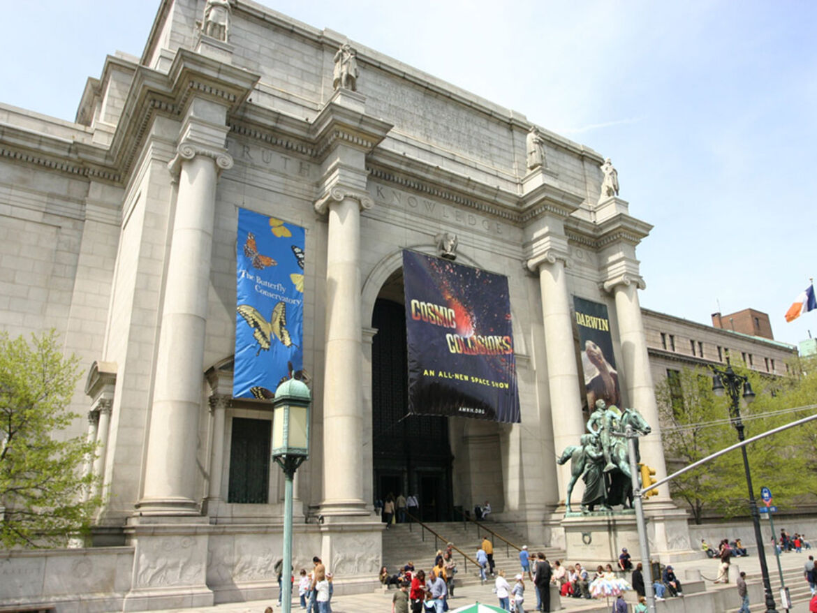 AMNH-American_Museum_of_Natural_History_New_York_City